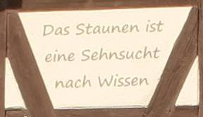 Das Staunen ist eine Sehnsucht nach Wissen